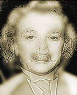 Albert Einstein or Marilyn Monroe